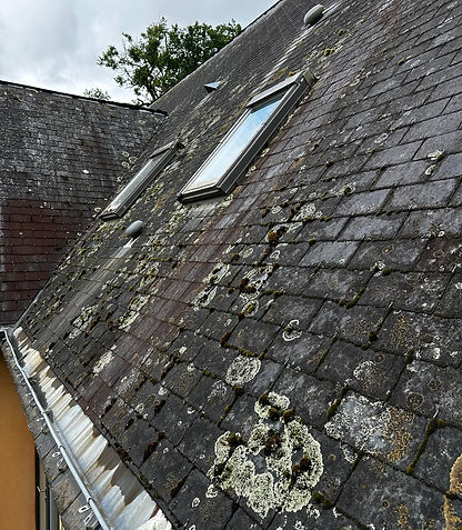 Toiture envahie par la mousse avant nettoyage et démoussage à Angers