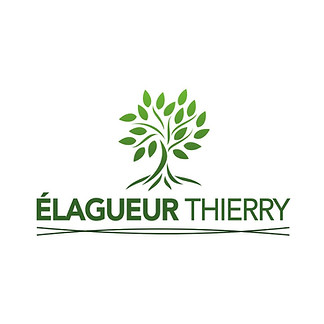 ÉLAGUEUR THIERRY.jpg