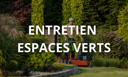 Travaux d’élagage en hauteur réalisés par un professionnel, arbre sécurisé à Villeurbanne