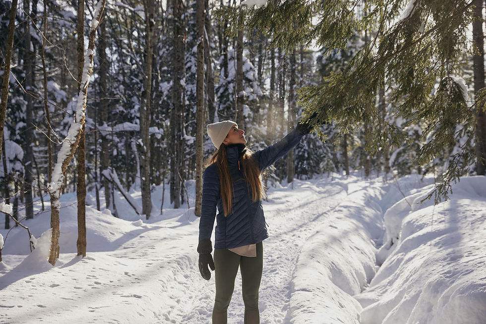 Spa-Eastman-Retraite-Sejour-bien-etre_Sentier_Marche-Nature_Canton-de-l-est_Quebec_Hiver_F
