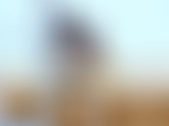 「技人国」から「特定技能1号」への変更:戦略的な在留資格の選び方と実務上の留意点