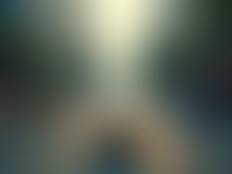 深圳租车与翻译服务的完美结合