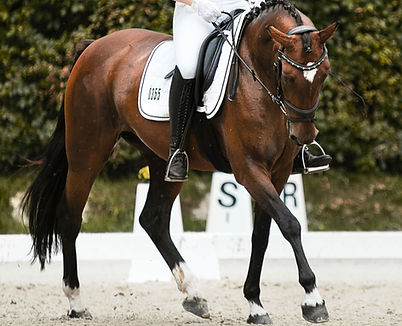 valeriejennerfotografie_BM4A4571_Original_(priv._Nutzung)__ac4b6a4b__(1)[1].jpg
