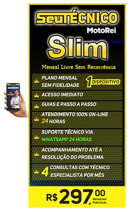 TECNICO SLIM 1 DISPOSI.png