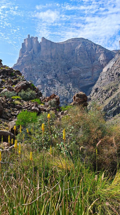 Mountain valley landscape on the Wadi Sa’ada hiking adventure in Oman