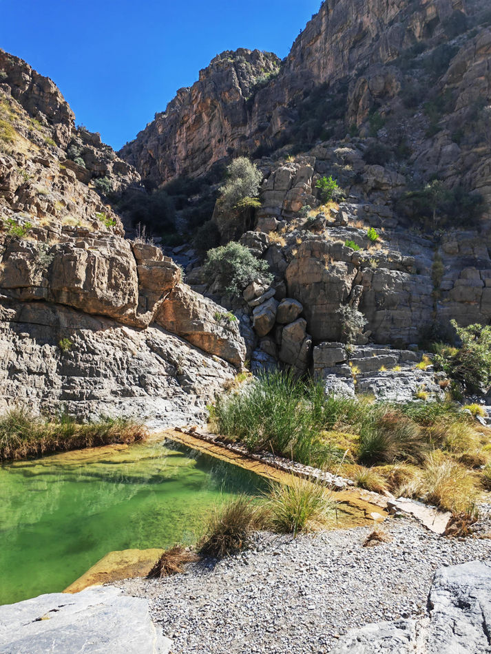 Green canyon oasis and rocky pools along the Wadi Masadarah adventure route in Oman