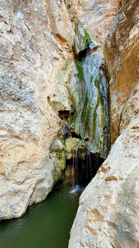 Adventurer rappelling beside a waterfall into a canyon pool during the Wadi Halfeen tour