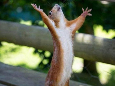 First Issue of "The Bullet"