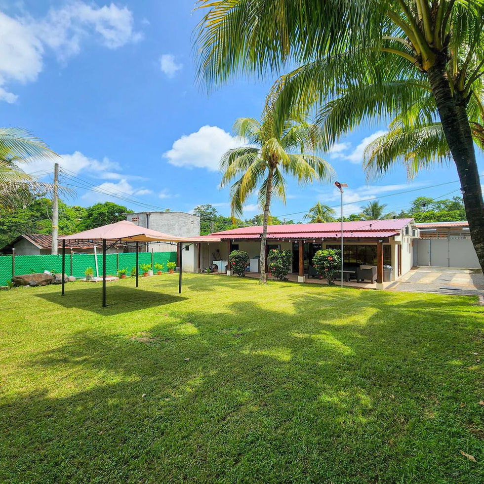 back yard with grass and trees