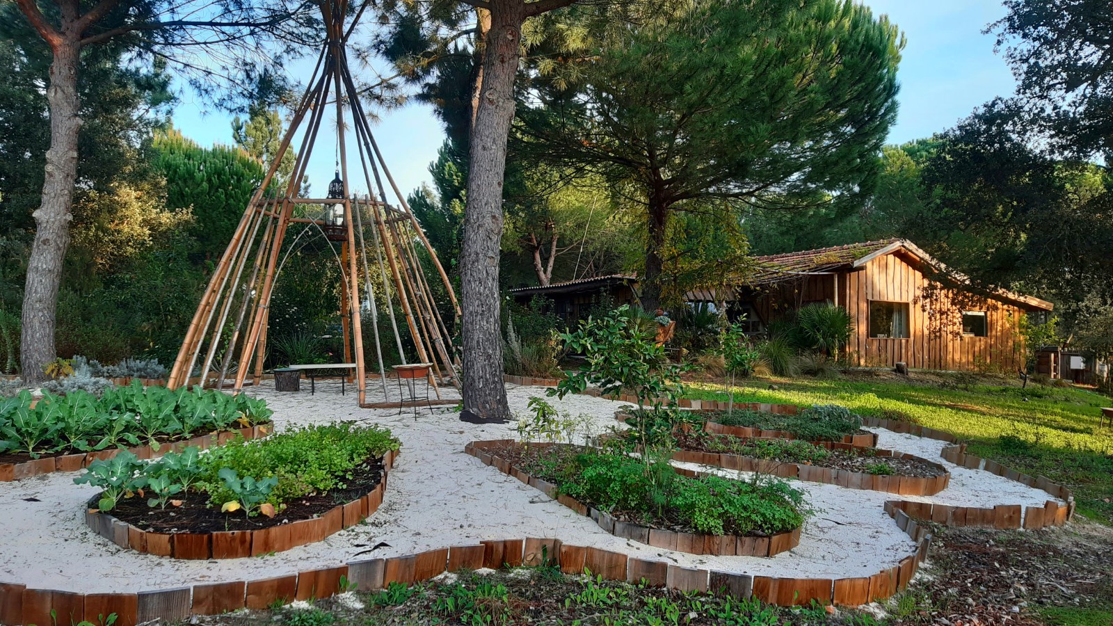 Ying Yang Monte da Lua