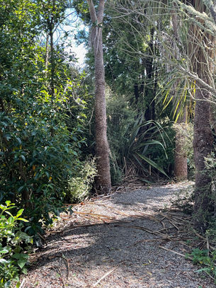 Things to check out in Prebbleton  
