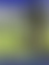 Issue 10 Local updates and Information are here!