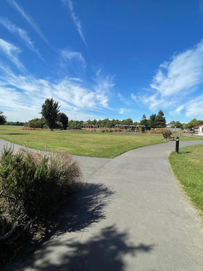 Living the Prebbleton Lifestyle: Your Prebbleton Living Guide