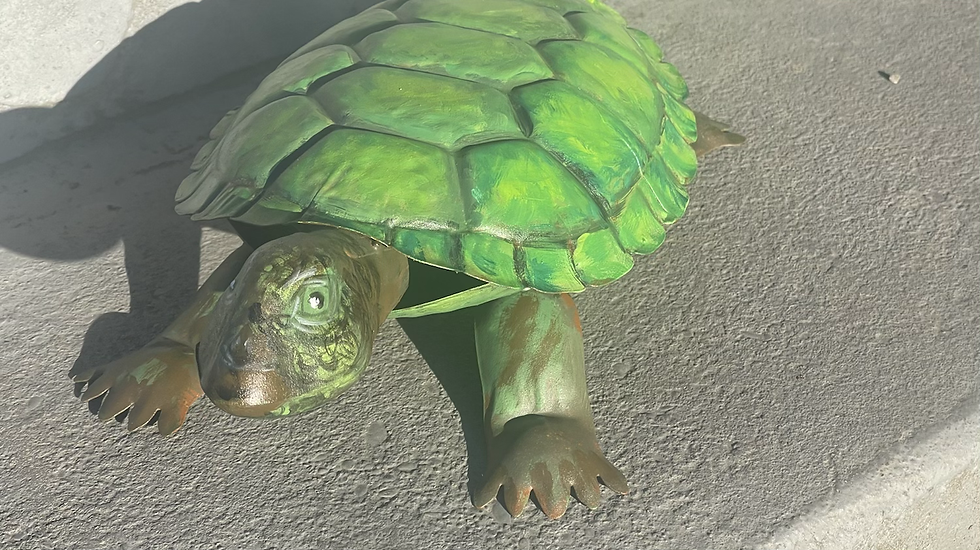Thumbnail: Mildred -Turtle