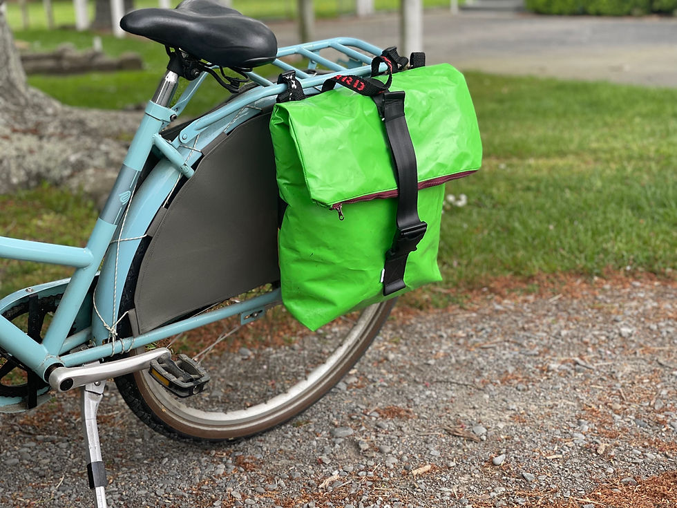Thumbnail: Pannier Bag