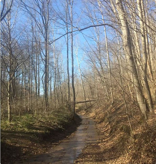 Jeep Trail image.JPG