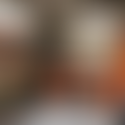 Ultimate Jeep and Bronco Top Storage Solutions