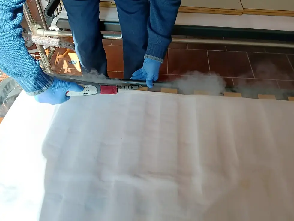 Bed Bug Disinfestation