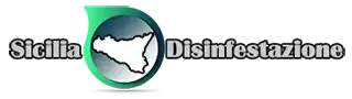 logo_3.webp
