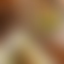 A selection of dishes from Bordo Mavi restaurant in Jumeirah Fishing Village, Dubai