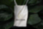 Zendara Consulting Group
