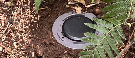Trelona ATBS Termite bait station in ground from the top