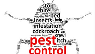 How To Find Pest Control Services In Your Area