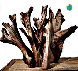 Dead tree
