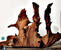Dead tree