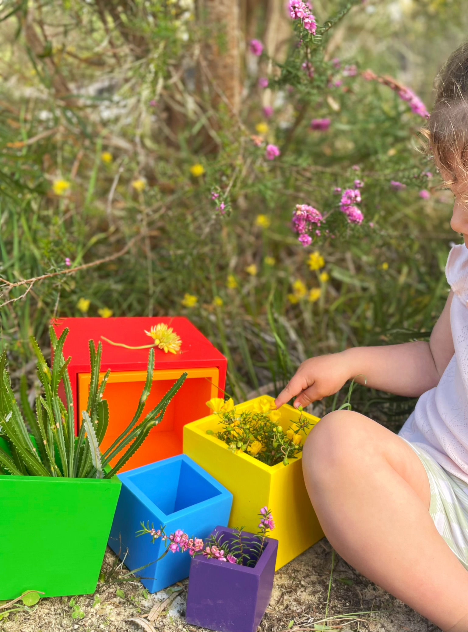 Wooden Nesting / Stacking / Sorting Boxes
