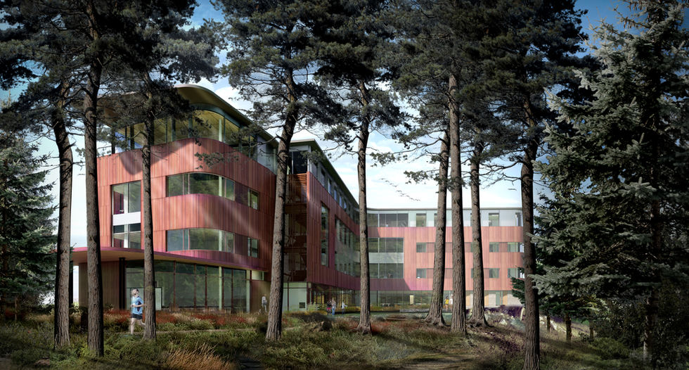 2G - East_Summer cropped.jpg