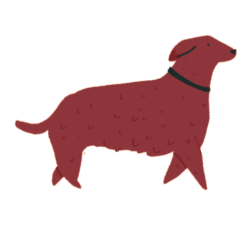 Chien qui marche gif