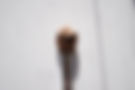 makeupbrush with foundation.JPG