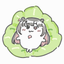 Writer: hako