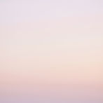 56a0809e4c97404291a848762fdd6e58.jpg