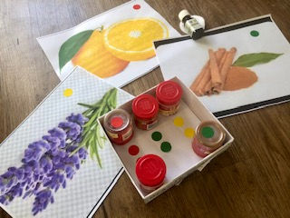 "I Got Good Senses"-- The Joys of Sensorial Learning LRGV WFS 2/11/13