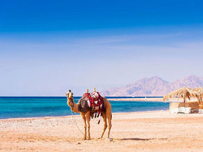 23. Hurghada, soleil en mer rouge