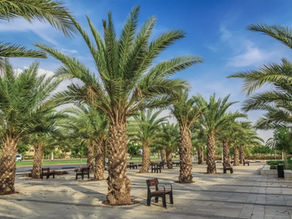 29. Be'er-Sheva, capitale du Négev