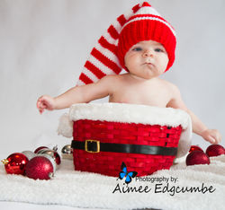IMG_4242wm