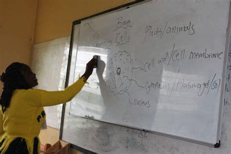 Figure 3: Impact of Early Marriage on Girls' EducationHigh dropout rates correlate strongly with early marriage and teenage pregnancy.