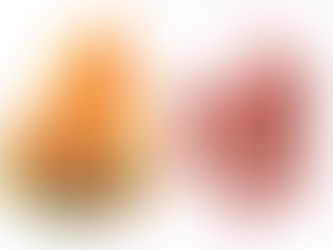 Fibre Alimentari: Alleate o Nemiche dell’Intestino? Sfatiamo i Miti