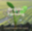 Organic Farming