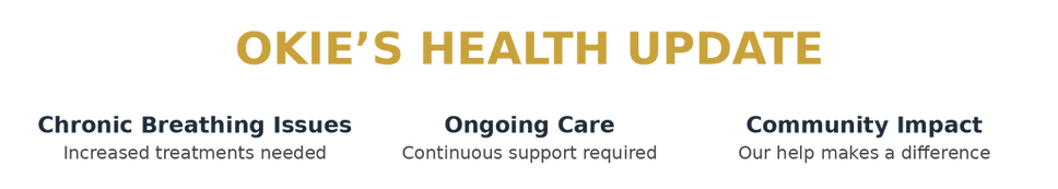 Okies_Health_Update_Wix_Banner_TRANSPARENT_edited.png