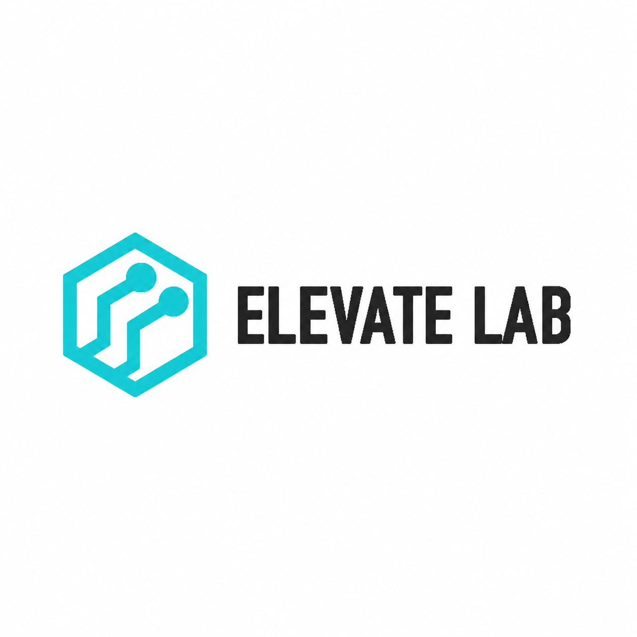 Writer: Elevate Lab