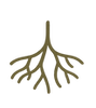 Soft Charcoal Text (1).png