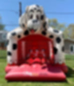 Dog Bounce House