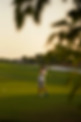 DSC085686.png