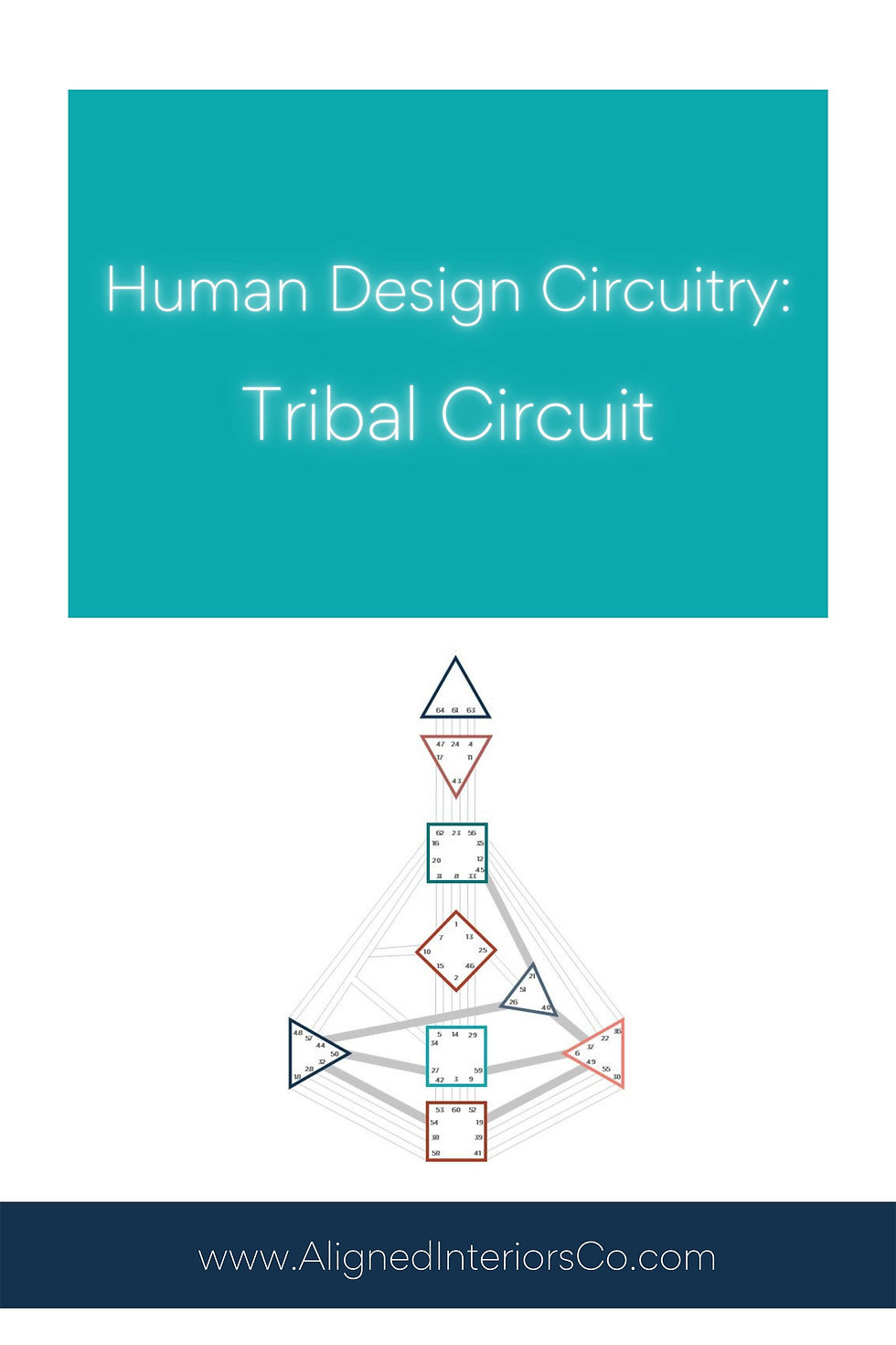 Human Design Tribal Circuitry