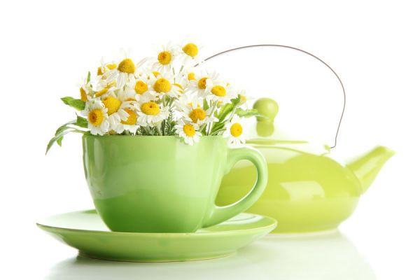 Miniatura: Manzanilla