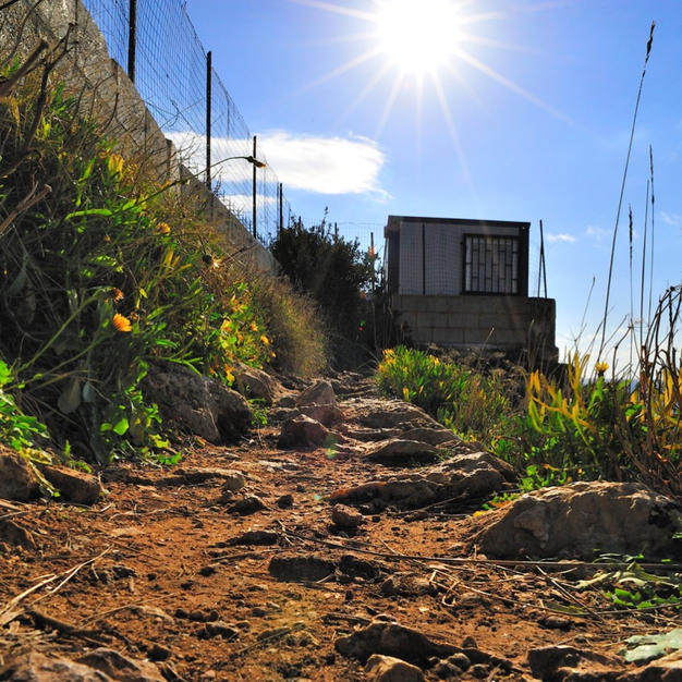 RIFUGIATI EBREI IN PUGLIA CAP VII VIII 0